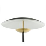Mitea Lighting LED podna lampa 3000-6000K M79-C | ePonuda.com