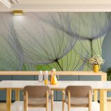  Foto tapeta - Fleeting moments 250x175 | shoptok.hr