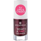 Essence What A Tint! Lip & Cheek Tint Rumenilo 01 | ePonuda.com