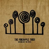 The Pineapple Thief Nothing But The Truth (2 LP)