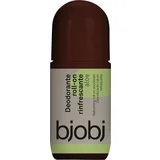 Osvežujoč dezodorant z aloe vero Roll-on
