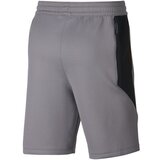 Nike Hlače 3/4, 7/8 Therma Flex Showtime Siva | Shoptok.si