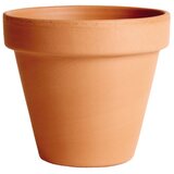 Arena Cvetlični lonec (25 cm, terakota) Cene