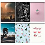 STREET Zvezek Maxi A4 mali karo | Shoptok.si