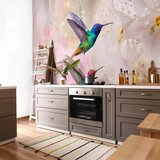  Foto tapeta - Colourful Hummingbirds (Pink) 250x175 Vodootporna | shoptok.hr