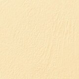 Gbc Karton za vezavo a4 1/100 relief - ivory-krem, (20541297) Cene