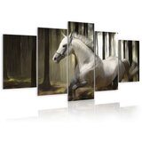  Slika - Horse running 100x50 | shoptok.hr