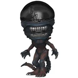 bobble figure movies - alien romulus pop! - scorched xenomorph