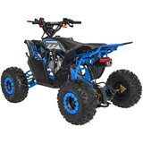 Quad na benzin DESERT STORM LIFT Combustion 125cc - modra | Shoptok.si