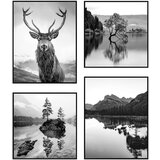 knor Slike v kompletu 4 ks 30x40 cm Wild | Shoptok.si