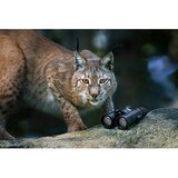 Steiner Wildlife 8x42 daljnogled a | Shoptok.si