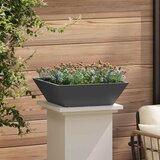 Vrtna saksija 5 pcs Crna 50 x 50 x 15 cm Čelična vrata | shoptok.hr