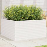 Maison Chic Vrtno cvetlično korito - Cvetlični Lonec belo 90x90x46 cm trdna borovina, (21790134) | Shoptok.si