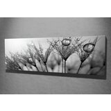 Opviq slika na platnu 30x80cm | ePonuda.com