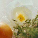 Chloé Nomade Naturelle parfumska voda 75 ml za ženske | Shoptok.si