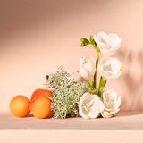 Chloé nomade parfemska voda 30 ml za žene | shoptok.hr