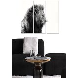 Wallity Set slika MDF199109744, 3 dijela | Eponuda.ba