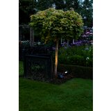 Luxform lazise AYR solarna svetiljka 5 lm | ePonuda.com