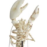 Light & Living Kipić od polyresina (visina 56,5 cm) Lobster – | shoptok.hr