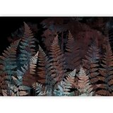  Foto tapeta - Ferns in the Woods - Third Variant 500x350 | shoptok.hr