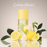 Elizabeth Arden Green Tea Citron Freesia toaletna voda za ženske 100 ml | Shoptok.si
