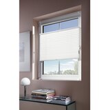 Homeware PLISE pol prosojno 100/130 cm | Shoptok.si