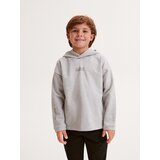 Reserved - Majica dugih rukava s kapuljačom - light grey Cijene