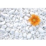 Nero Oblutak beli - Tasos 3-6cm 25kg