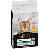 Pro Plan Adult Cat Piletina - 1.5 kg Cene