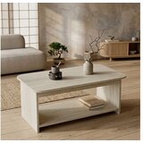 Skye_Decor Skye Decor Klub sto 100x50x41.8cm Chb1-T 956LCS1249 Cene