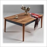 Olimp Sport Klub sto Oslo Tamni orah-Antracit/Tamni orah noge | ePonuda.com