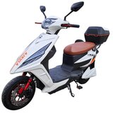 Csm AJKULA bela | ePonuda.com