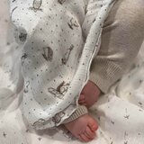 Aden+Anais essentials komplet 2 pelene za povijanje iz bambusa 112x112 healing nature | shoptok.hr