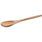 Premier Housewares Lesena zajemalka Kora – | Shoptok.si