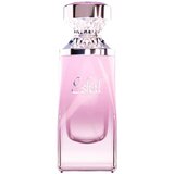 Paris Corner Eshal Musk Eau de Parfum 100 ml | shoptok.hr