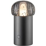 Blomus LED vanjska svjetiljka s mogućnosti zatamnjivanja s USB ø 10 cm Iris – Cijene