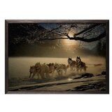Wallity slika wolf horde, 50 x 70 cm | ePonuda.com