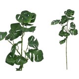 List MONSTERE 71CM PVC cijene