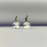 ER8 CRY Swarovski Minđuše