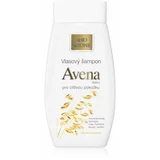 Bione Cosmetics Avena Sativa šampon za lase 260 ml