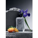 Bentley Momentum Unbreakable parfumska voda 100 ml za moške | Shoptok.si