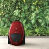 Electrolux PD82-ANIMA | Eponuda.com