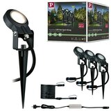 PAULMANN Plug & Shine Osnovni set za LED vrtni žaromet Sting (6 W, Klin, IP67) | Shoptok.si