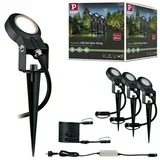 Plug & Shine Osnovni set za LED vrtni žaromet Sting (6 W, Klin, IP67)