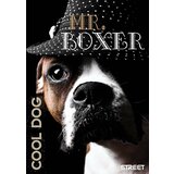  Zvezek Street Maxi A4 mali karo | Shoptok.si