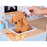 Lesena veterinarska klinika | Shoptok.si