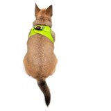 Paws & Whiskers Am za pse Air Mesh Neo Lime 3XS | Eponuda.com