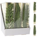  GRANA SET 3/1 SORTO ZELENA | Eponuda.ba