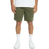 Quiksilver LOCAL SURF SHORT Kratki donji dio muške trenirke, khaki, veličina