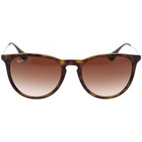 Ray-ban Erika Classic Havana Collection RB4171 865/13 ONE SIZE (54) Havana/Rjava | Shoptok.si